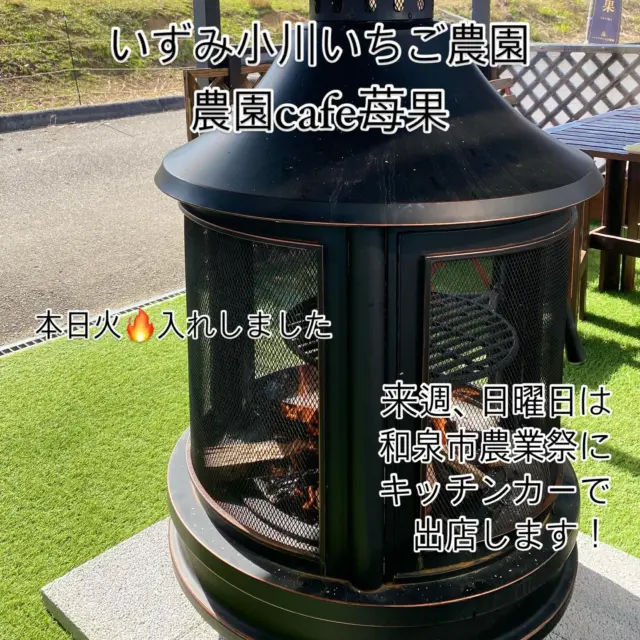 いずみ小川いちご農園🍓農園cafe苺果

本日、寒い中ありがとうございました🙇🏻‍♀️
今年は、秋メニューのブルーベリーヨーグルトスムージー
沢山のお客様にリピート頂きましたが、
本日で今年のスムージーは終了させて頂きます。
段々と、ホットメニューが欲しくなる気温となってきました。
来週、12月1日は和泉市の農業祭に出店する為にキッチンカーが農園からいなくなります‼️
和泉中央まで移動して販売させて頂きますので、
前日の土曜日は準備の為、日曜日は農業祭の為、農園での営業は出来ません。

農業祭では、特別価格にて販売させて頂きますので、
是非、いらして下さいませ❣️
いずみ小川いちご農園🍓山の上の山羊🐐のいる農園
遠くてなかなか行けない！と、いう皆様に農園を観て感じて頂ける様に準備をしています。
当日、暖かく穏やかな日になります様に！

#いずみ小川いちご農園#農園cafe苺果#ベリープラント喜平#青ハウス#べっぴんさんいちごのチーズケーキ#いちごクレープ#いちごパフェ#外のカフェ#山羊のいる農園#いちご直売#いちごスイーツ#秋メニュー#わんことお出かけ#お散歩#薪ストーブ#キッチンカー#和泉市カフェ#大阪和泉市