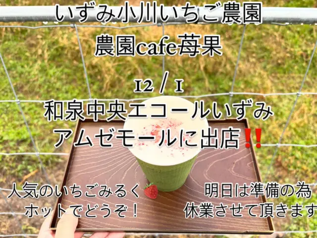 いずみ小川いちご農園🍓農園cafe苺果

12/1和泉中央のエコールいずみアムゼモールの農林業祭に
キッチンカーで出店します‼️
人気のいちごみるく、採りたて完熟苺🍓のフレッシュパフェ、いちご🍓クレープを特別イベント価格で販売します！

ぐるグルメフェアの最終日‼️
べっぴんさんいちごのチーズケーキ、赤と黒のブラウニー、
べっぴんさん苺ジャム、手づくりベリー🍓ベリー🫐ジャム
天使の苺（白いちご）ジャム、苺果糖（いちご砂糖）
1000円以上のお会計で500円引きのクーポンがご利用頂けます！

お🉐が一杯の農林業祭‼️
山の上の農園が気になりながらも行けない方、この機会に是非いらして下さい❣️
この週末に山に行く予定をして下さっているお客様には、申し訳ありません🙇🏻‍♀️

#いずみ小川いちご農園 #農園cafe苺果#青ハウス#ぐるグルメフェア#いちごクレープ#いちごパフェ#いちごみるく#和泉市農林業祭#完熟採りたて苺#キッチンカー#苺狩り#苺#いちごスイーツ #お土産#大阪和泉市